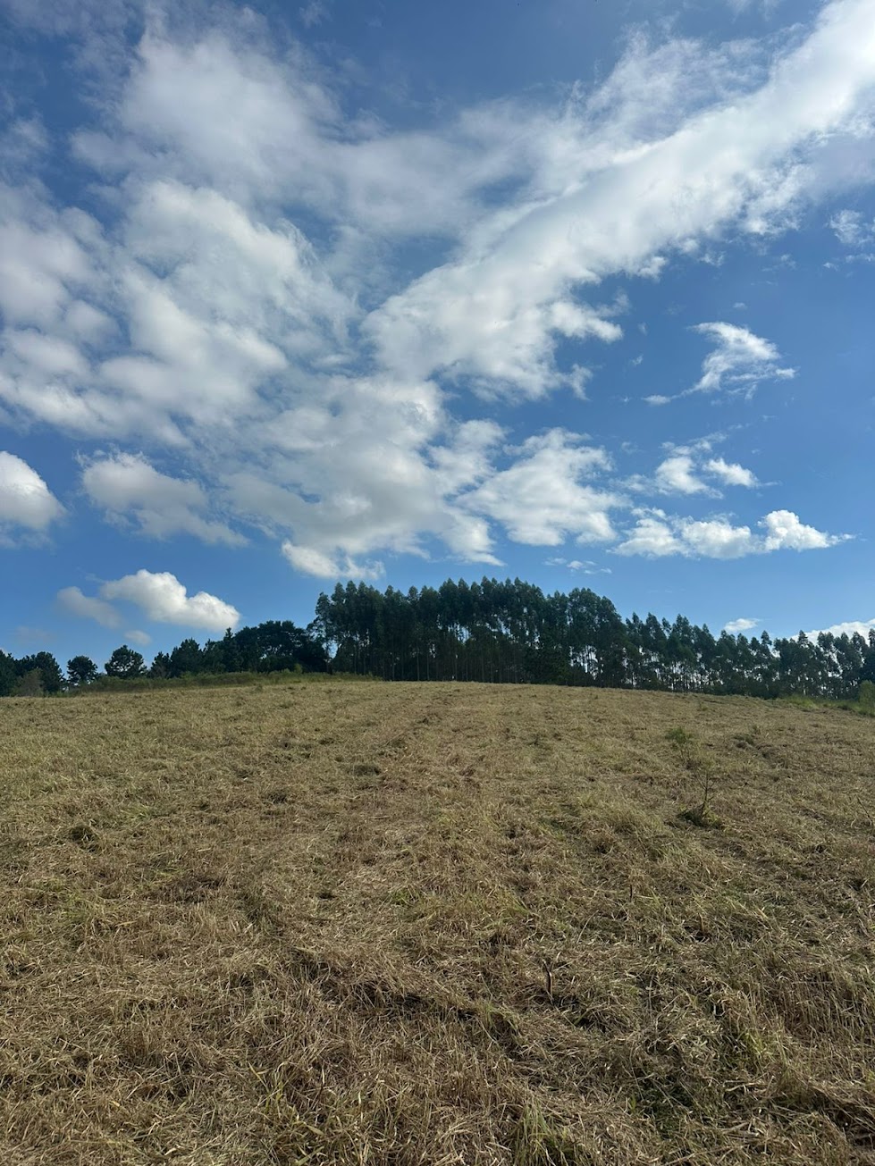 Reserva Aurora Park — foto 2
