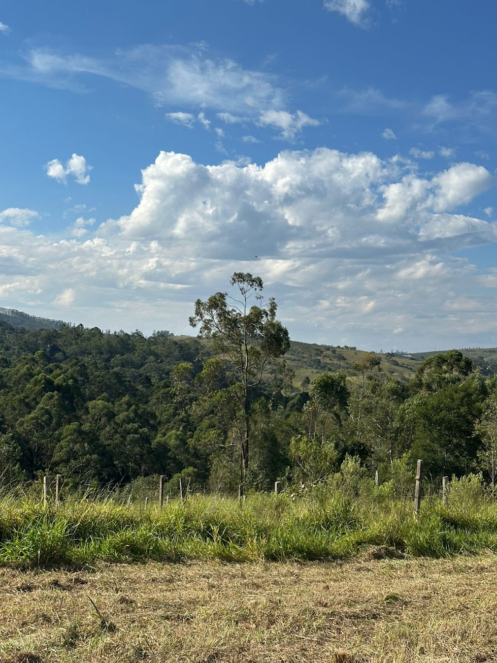 Reserva Aurora Park — foto 10