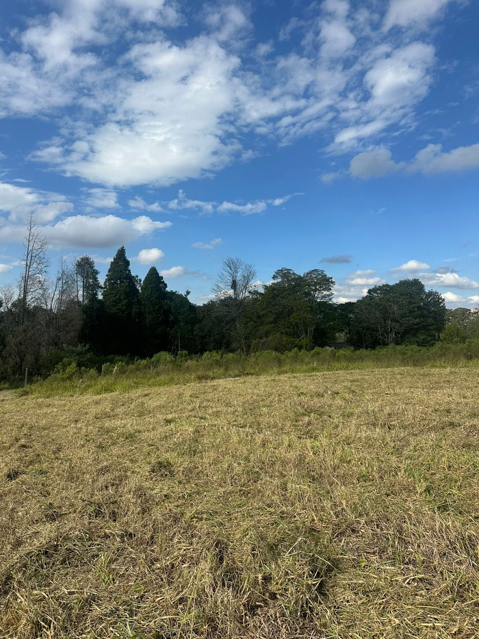 Reserva Aurora Park — foto 7