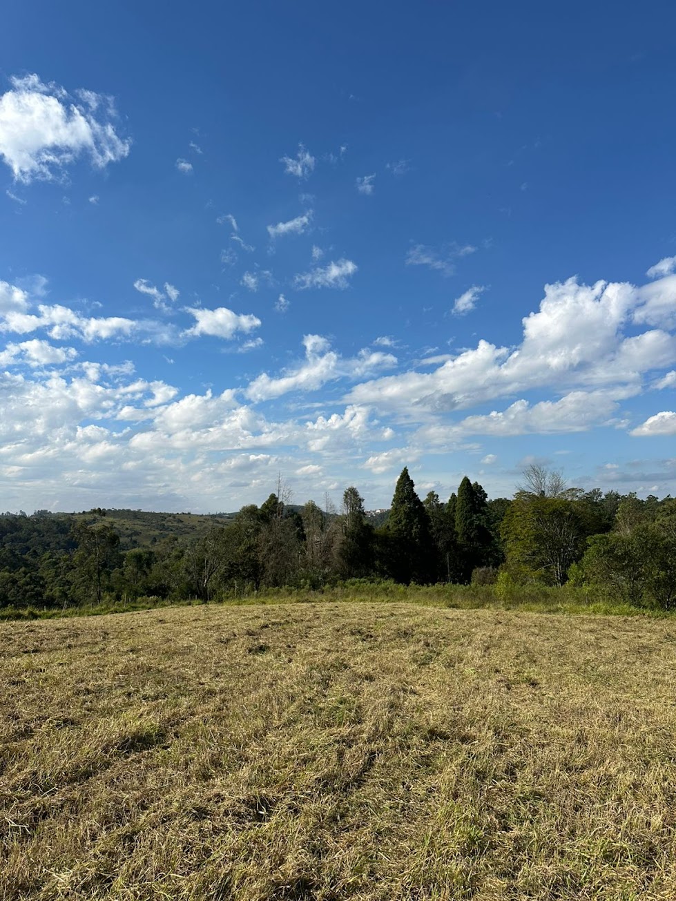 Reserva Aurora Park — foto 4