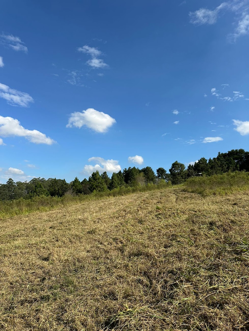 Reserva Aurora Park — foto 5