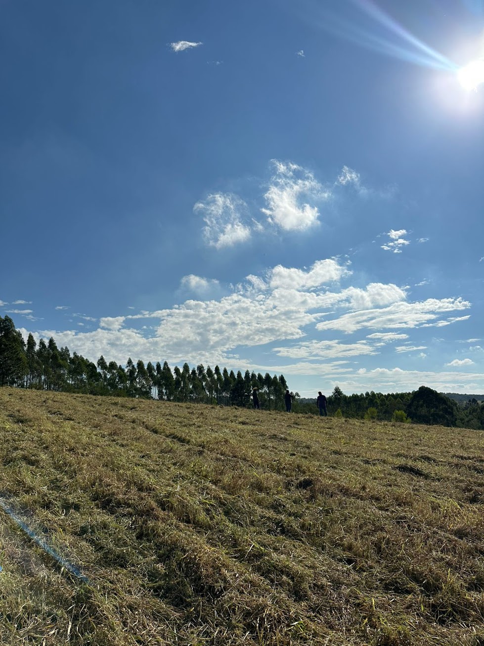 Reserva Aurora Park — foto 6