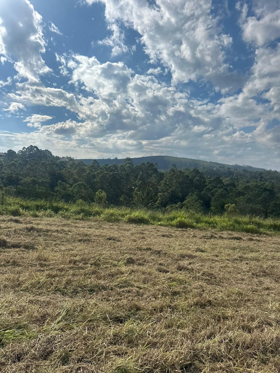 Reserva Aurora Park — foto 1