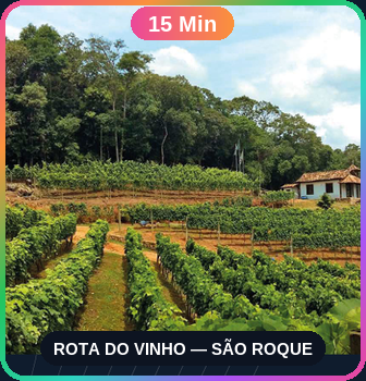 Rota do Vinho — São Roque