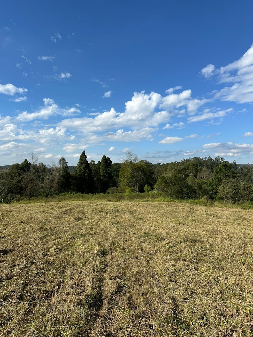 Reserva Aurora Park — foto 3