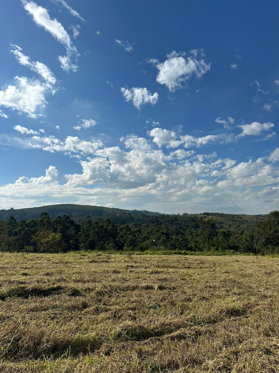 Reserva Aurora Park — foto 9