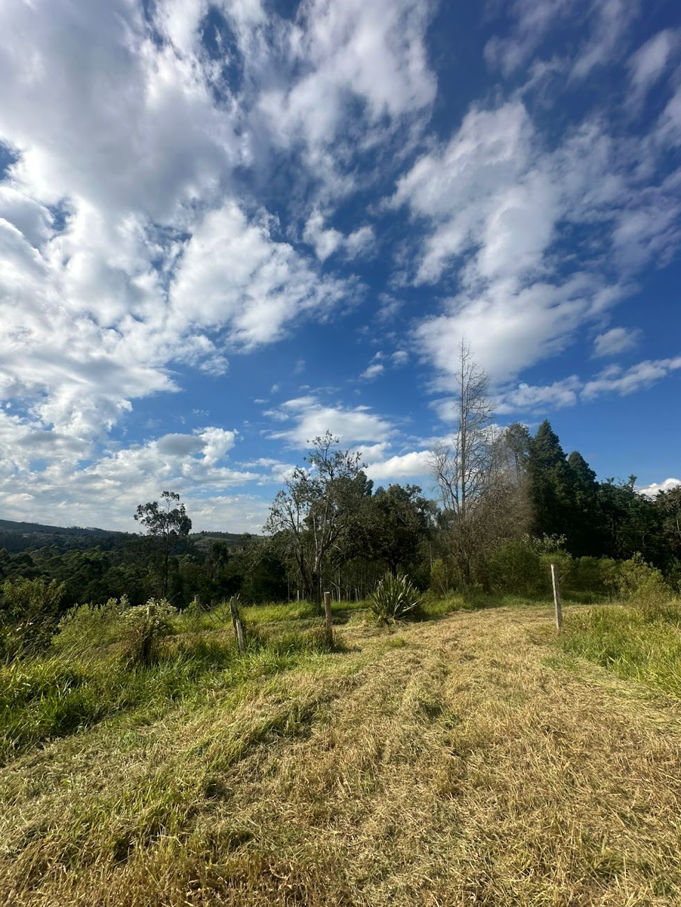 Reserva Aurora Park — foto 8